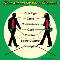 What Affects My Food Choices?